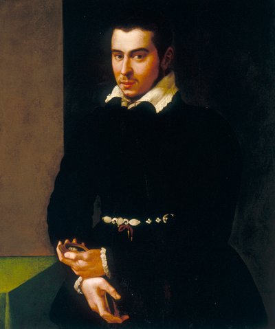 Retrato de un caballero de Jacopino del Conte